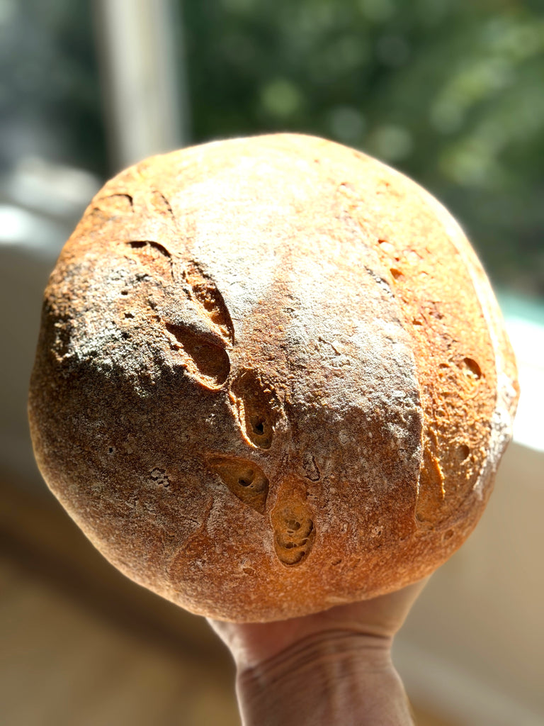 Everyday Milled Sourdough Boule