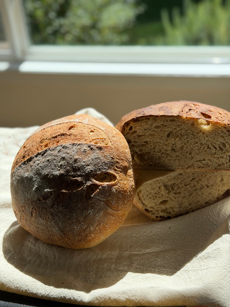 Everyday Milled Sourdough Boule
