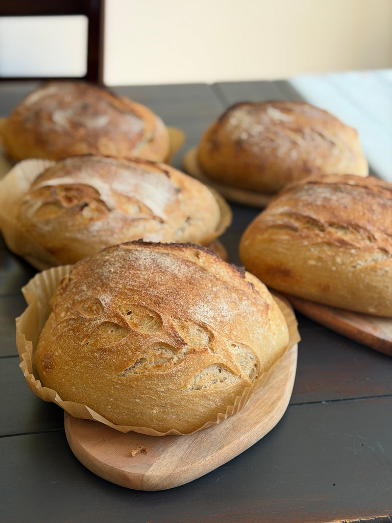 Everyday Milled Sourdough Boule