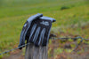 Bierstadt Gloves Pack of 4 + FREE SHIPPING!