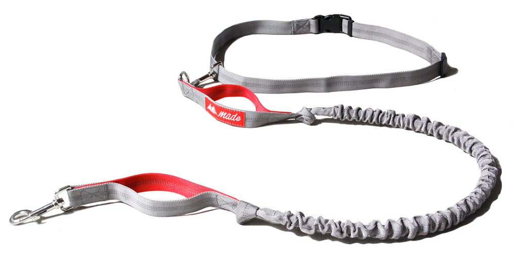 Dog Treat Pouch + Hands Free Dog Leash